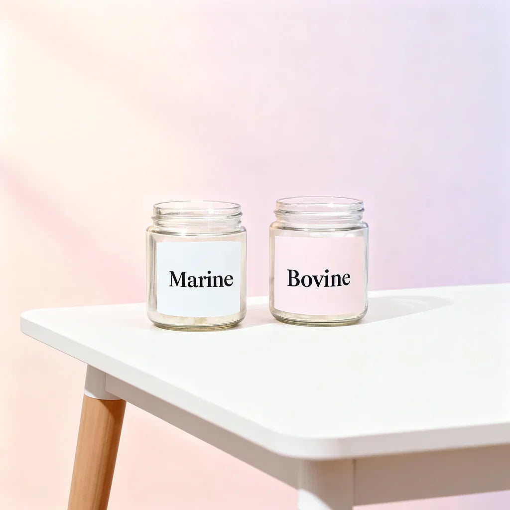 Marint kollagen vs. bovint kollagen: vilket kollagen är bäst för dig?