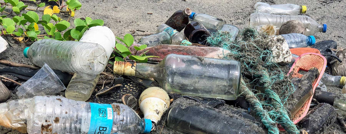 Den stora debatten: Vilket är det grönaste av dem alla - plast, glas eller papper?