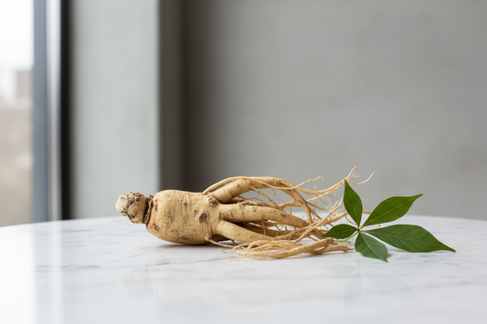 Ginseng: Vad säger den senaste forskningen om stress, kognition och fysisk prestation?
