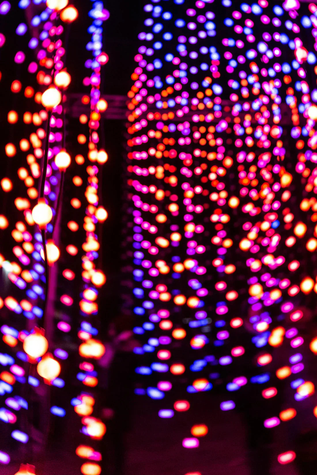 Vad är bäst för fototerapi: laser eller LED-ljus?