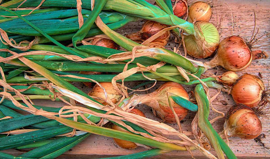 Quercetin 101: Näring och dess hälsofördelar