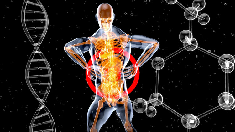 Anti-inflammation