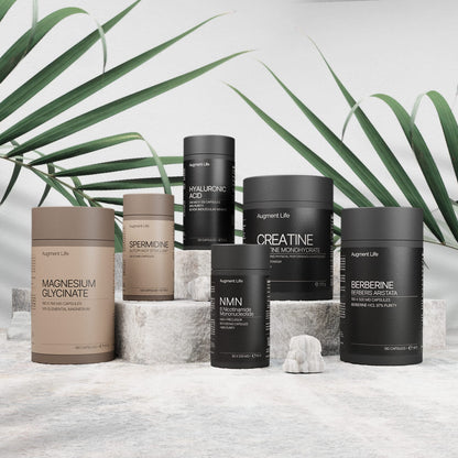 Longevity Starter Bundle